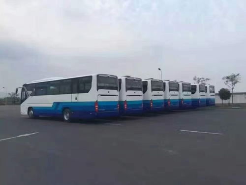 朝陽(yáng)三間房地區(qū)班車(chē)與客車(chē)租賃服務(wù)指南 專(zhuān)業(yè)、便捷、可靠的選擇